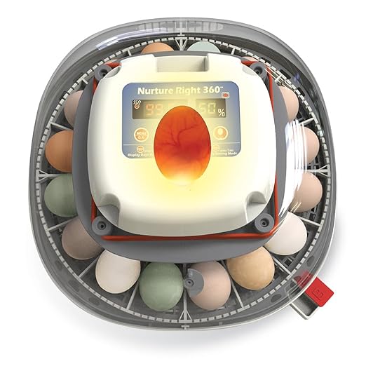 Harris Farms Nurture Right Egg Incubator for Hatching Chicks, Holds 12-22 Eggs, Automatic Turner with Temperature and Humidity Control, 360 Degree View with Clear Window, Incubator for Chickens