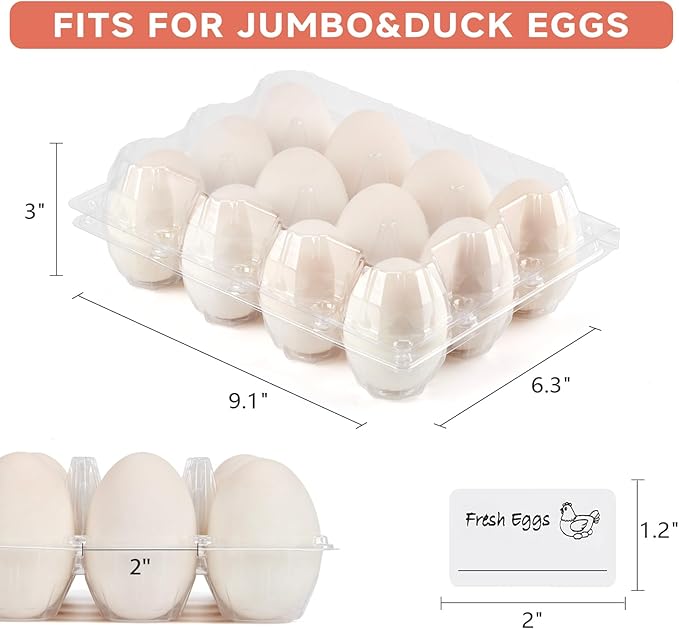 60 Pack Egg Cartons Cheap Bulk 1 Dozen Jumbo Egg Cartons Extra Large Duck Egg Holders with Sticker Labels Clear Empty Plastic Egg Containers for Home Ranch Farm Commercial Market Display