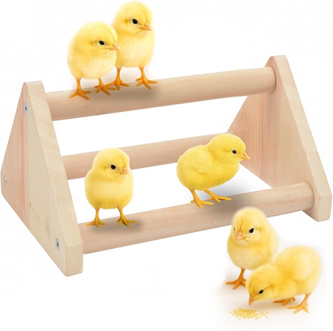 Chick Perch – Sturdy Wooden Roosting Bar for Coop & Brooder, Training Perch for Chicks, Easy to Assemble & Clean, Fun Activity Toy for Poultry (Triangle)