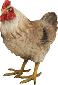 Ebros Gift Rustic Western Country Farm Light Brown Chicken Hen Figurine 4.5" Tall Chickens Roosters Kitchen Desktop Shelf Mantel Decorative Accent Sculpture in Vivid Colors