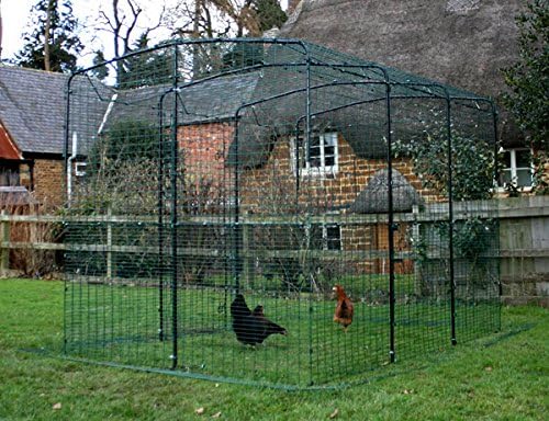 Clear Tarp for Chicken Run - Side Panel | Durable, Made from Thick, Clear Plastic, Allowing Sunlight Through Whilst Keeping The rain, Hail and Snow Out