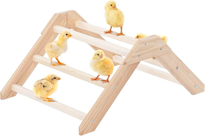 PETSFIT Dog Playpen,Brooder Box for Chick Starter Kit