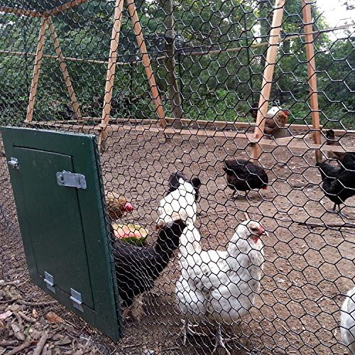 Fencer Wire 20 Gauge Black Vinyl Coated Poultry Hex Netting with 1 inch Mesh (5 ft. x 150 ft.)