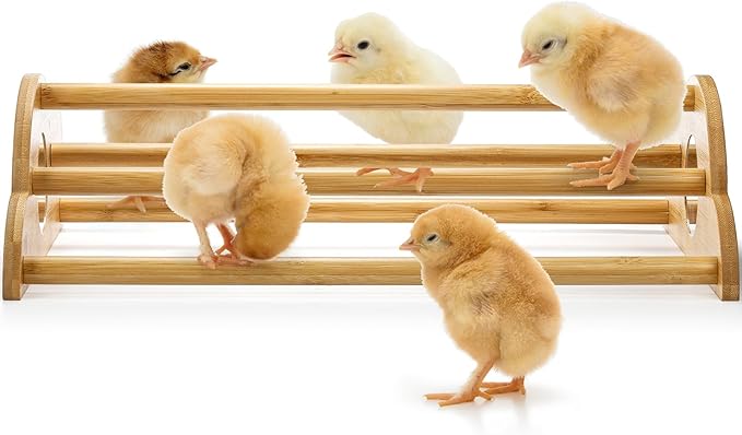 Frcctre 2 Pack Bamboo Chicken Perch, Freestanding Roosting Bar Set Baby Chick Stand Training Perch Chicken Jungle Gym with Built-in Mirrors for Brooder, Coop, Hens