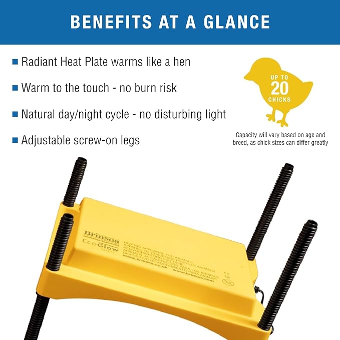 Brinsea Ecoglow Safety 600 Chick or Duckling Brooder, Adjustable Height & Angle Brooder Plate, Ideal for Chicken Coops Poultry Heating with Safety Indicator, 12 Watts