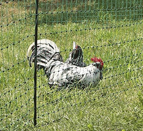 Kerbl 292208 Geflügelnetz 50 m, 112 cm ohne Strom, grün