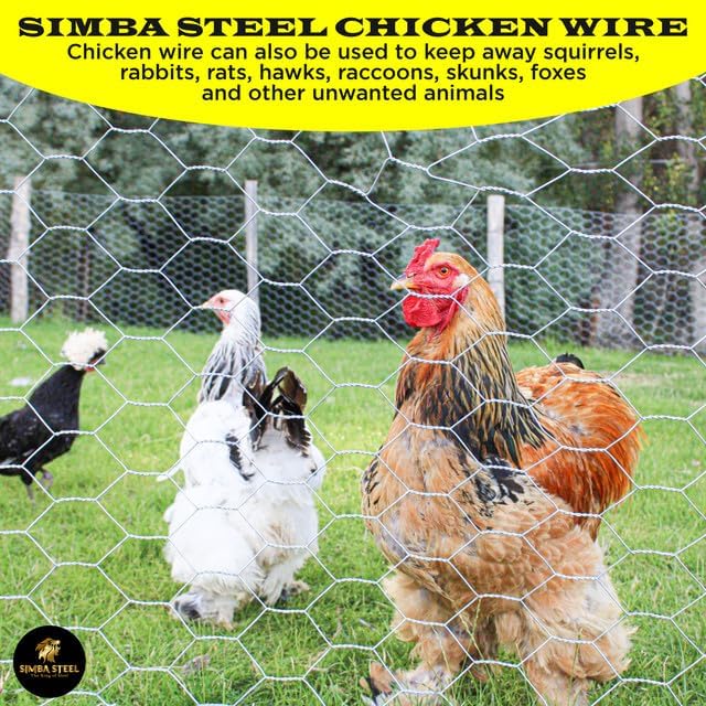 Chicken Wire 48 in x 100 FT x 2” Mesh x 20GA | Poultry Wire Netting | Hot Dipped Galvanised | Hexagonal Galvanized Mesh for Chicken Coop, Rabbit Cage, Fence Barrier PM48x100x2