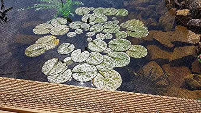 Hozelock - Pond Protection Net 4 x 6 m : Ideal for Protecting The Pond from Leaves, Large Debris and Predators, Supplied with 4 Stakes [1736 0000]