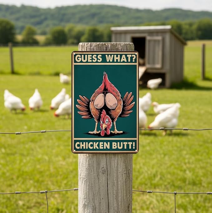 Funny Chicken Sign Guess What Vintage Tin Sign for Home Farm Chicken Coop Kitchen Garden Yard Decor 8X12 Inch(3935)