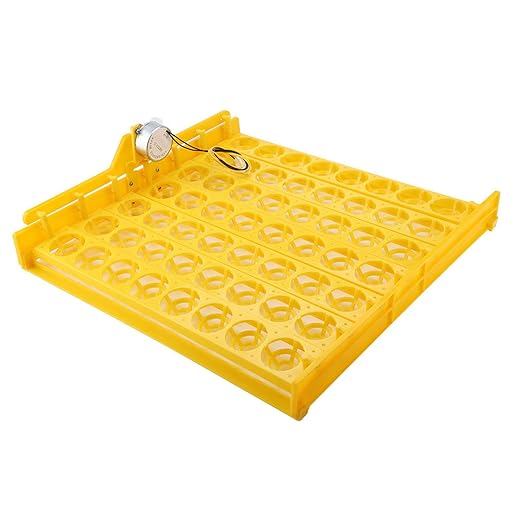 56 Egg Mini Egg Incubator with Automatic Turning Tray and Motor, Ideal for Poultry Hatching