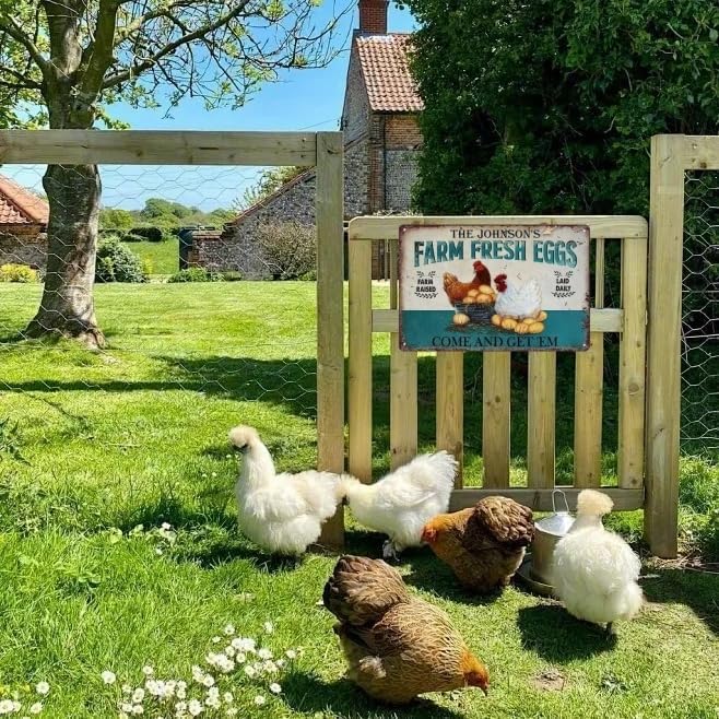 Vintage Farm Fresh Eggs Metal Sign, Chicken Gifts Golden Eggs Tin Sign For Chicken Coop Rustic Farmhouse Kitchen Garden Wall Decor 8" x 12"