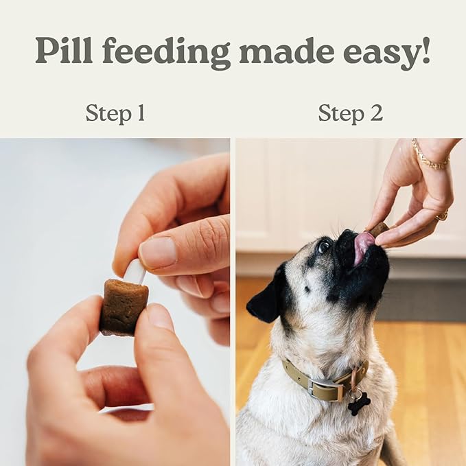 Earthly Pill Buddy Naturals - Chicken Recipe Pill Hiding Treats for Dogs - Make A Perfect Pill Concealing Pocket Or Pouch - 30 Servings