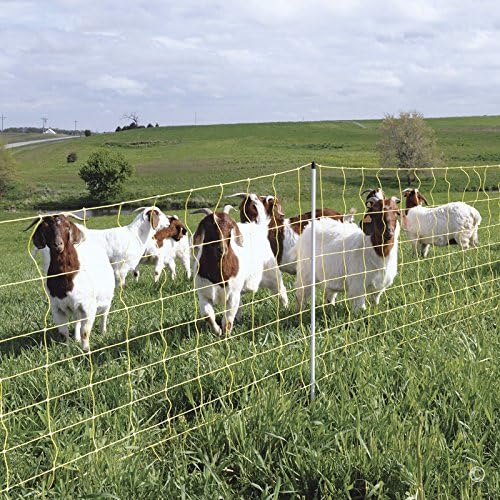 Premier 1 Portable Electric Goat & Sheep Net Fence with Built-in Posts | Yellow – 42"H x 164'L
