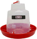 Durvet, Baby Chick Feeder, 1 Lb Poultry Feeder for Chicks and Ducklings