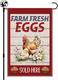 Farm Fresh Eggs Slod Here Garden Flag, Double Sided Farmhouse Chicken Coop Outdoor Decor Yard Flag Gifts, Welcome to the Farm Flags for Chickens Lover, Funny Chicken Sign Business Supplies