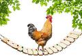 Vehomy Chicken Coop Toy - Natural Wood Chicken Ladder, Swing, Perch for Hens, Poultry, Rooster, Chicks