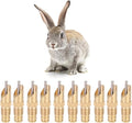 AUNMAS 10Pcs Rabbit Drinker Nipple Waterer Set Automatic 360 Degree Stainless Steel Nipples Cage Accessories Drinking Water Tool for Rabbits, Chickens, Ducks, Birds, Quails