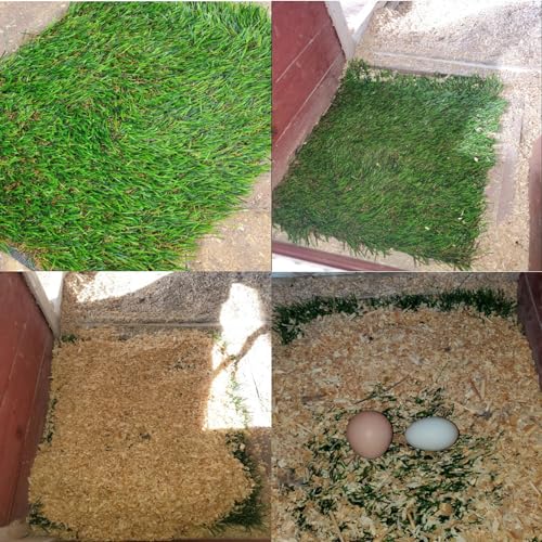 8Pack Chicken Nesting Box Pads for Laying Eggs,Washable Nest Box Pads Grass Carpet - Green, Polyethylene (PE) - Image 3