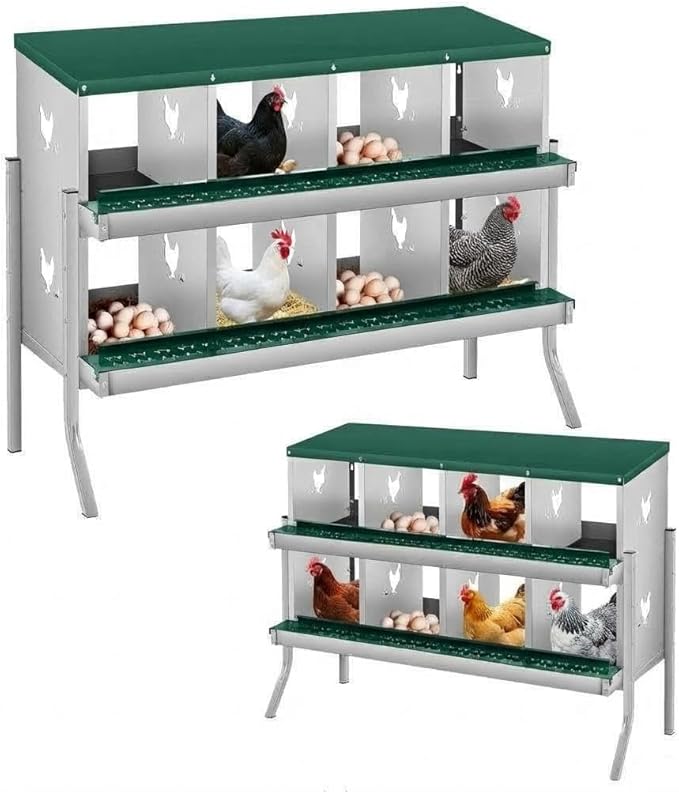 Ventilated Rustproof Design - Metal Chicken Nesting Box for Small Animals - 8 Compartments, Wall-Mounted, Roll Away, Easy Egg Collection & Cleaning - Green
