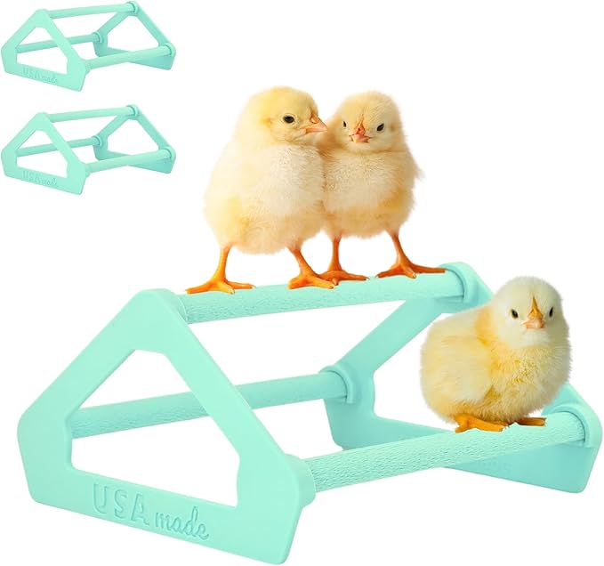 Roosting Perch for Baby Chickens, Chick Brooder Coop Training Toy Accessory, Easy Click Together Assembly, Durable Plastic, Mix and Match Colors, USA Made (Mint Green, 3 Pack)