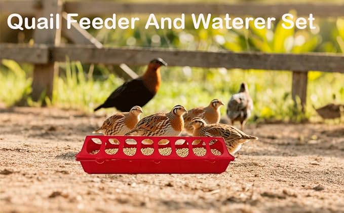 8 Pack Plastic Flip Top Chick Feeders Chicken Feeding Tray Poultry Quail Feeder Drinkder with Hole Trough Tool for Farm Chick Bird Pigeon Ducks Small Chick Grit FeeDuckling Feeder and Waterer Set