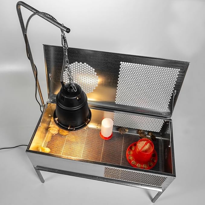 Premier 1 QuikClean Chick Brooder for Poultry with Easy Access Hinged Lid & Removable Collection Tray (Add-Your-Own Heat Source)
