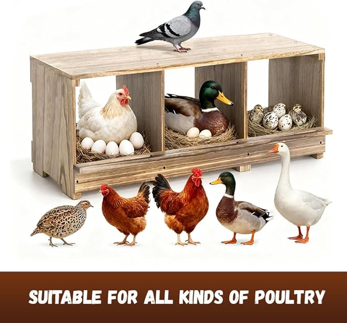 Wooden Chicken Nesting Boxes - 3 Compartment Poultry Nest Box, Lightweight, Front & Rear Ventilation, Easy to Clean & Install, Wall/Floor Mount for Laying Hens Ducks