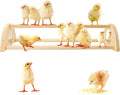 Chicken Perch with Mirror Roosting Bar for Baby Chicks Chick Jungle Gym Roosting Bar Strong Wooden Baby Chick Perches