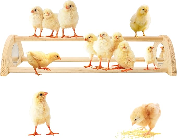 Chicken Perch with Mirror Roosting Bar for Baby Chicks Chick Jungle Gym Roosting Bar Strong Wooden Baby Chick Perches