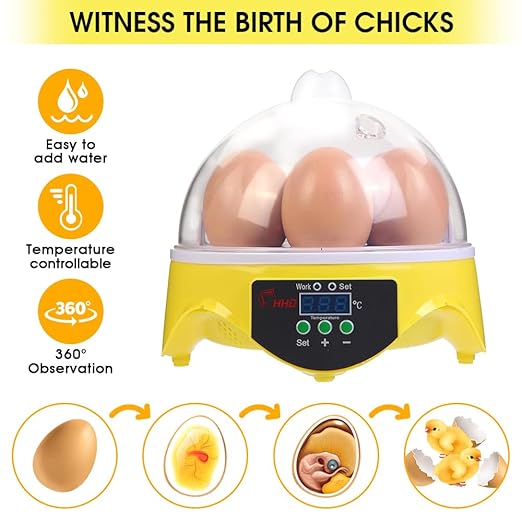 HOWOOIUA Egg Incubator 360° View 7 Eggs Poultry Incubator for Hatching Chickens with Manual Temperature a for Chicken, Quail, Parrot Eggs