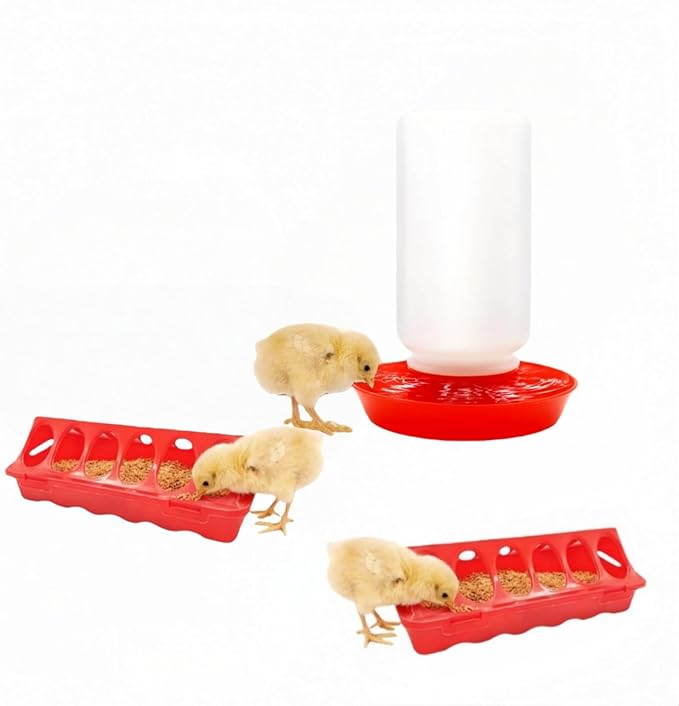 12-Hole No-Scratch & Spill-Proof Chick Feeder, Leak-Resistant Chick Waterer, and Poultry Waterer with Perches - Complete Brooder/Coop Starter Kit for Raising Poultry (D Set)