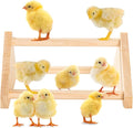 Chicken Perch for Coop - Roosting Bars for Chickens - Chick Brooder Perch & Enrichment Toys for Hens - Safe Wooden Adjustable Roosting Perch for Baby Chicks and Adult Chickens Accessories(Shape-4)