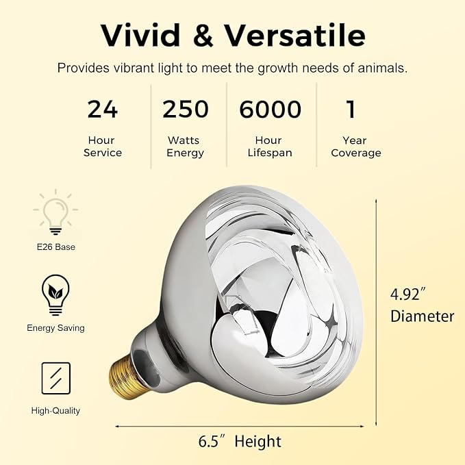 250W Heat Lamp Clear Infrared Bulbs, Flood Light Heat Lamp Bulb for Food Service, Brooder Bulb, Chicks, Pet, Bathroom, Light Therapy Use, Glass, 2 Pack