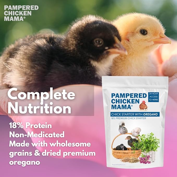 Pampered Chicken Mama Backyard Chick Starter Food - All-Natural Backyard Baby Chick Food Supplies for Baby Chickens & Ducks - Chick Starter Grower - Herbal Blend for Chicks (40 pounds)