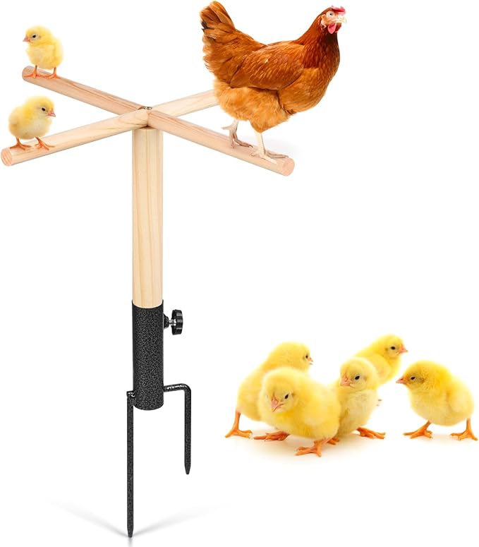 Chicken Perch for Coop - 4 Wooden Roosting Bars for Chickens, Chicken Toys for Coop with Rustproof Metal Base & Ground Anchors, Stable Chicken Coop Toys, 1-Min No-Tool Setup, 26.72In Height