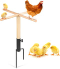 Chicken Perch for Coop - 4 Wooden Roosting Bars for Chickens, Chicken Toys for Coop with Rustproof Metal Base & Ground Anchors, Stable Chicken Coop Toys, 1-Min No-Tool Setup, 26.72In Height