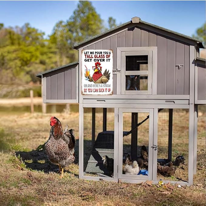 Funny Chicken Gifts Chicken Cluck Around and Find Out Tin Sign for Home Farm Chicken Coop Farmhouse Kicthen Garden Decor 8 X 12 Inch