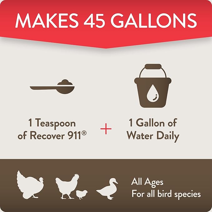 Recover 911, Severe Stress Probiotic Water Supplement for Chickens with Electrolytes, Prebiotics & Oregano, Molting, Extreme Weather, and Predator Attack Support, 8 oz (Pack of 2)