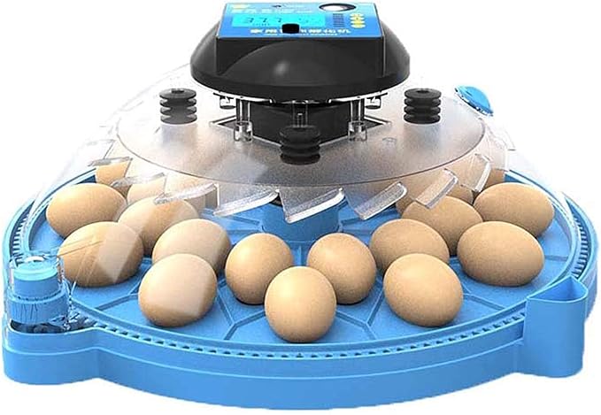Egg Incubators, Round Poultry Hatcher, Automatic Temperature Control Digital Display Incubator, for Hatching Chick Duck Goose Pigeon Quail Bird Eggs (24 Pieces)