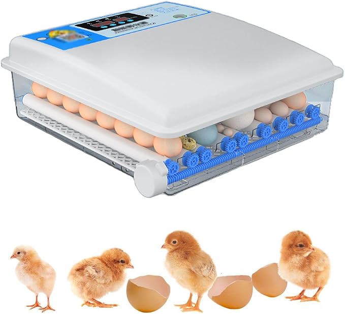 Egg Incubator Chicken Incubators for Hatching Eggs with Automatic Temperature and Humidity Control, Chick Brooder, Incubator Box Kit,36Eggs,64Eggs