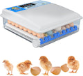 Egg Incubator Chicken Incubators for Hatching Eggs with Automatic Temperature and Humidity Control, Chick Brooder, Incubator Box Kit,36Eggs,64Eggs