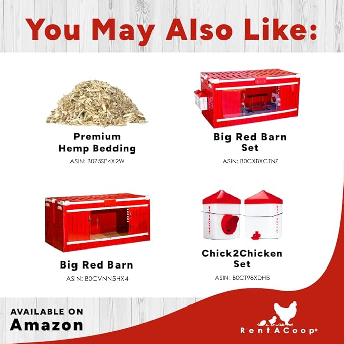 RentACoop Chick Swing and Versatile Chick Feeder Waterer and Accessory Stand Set