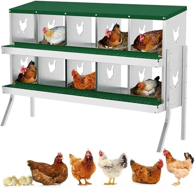 Chicken Nesting Box,10 Holes Galvanized Steel Metal Chicken Laying Box with Automatic Roll-Away Egg Collection System & Removable Tray,Wall Mount Nesting Boxes