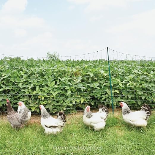 Premier 1 PoultryNet® Plus, 48"H x 100'L Electric Fence Starter Kit | Extra Line Posts to Reduce Sag | Includes: Solar Energizer, FiberTuff™ Support Posts and Tester | Green/Black