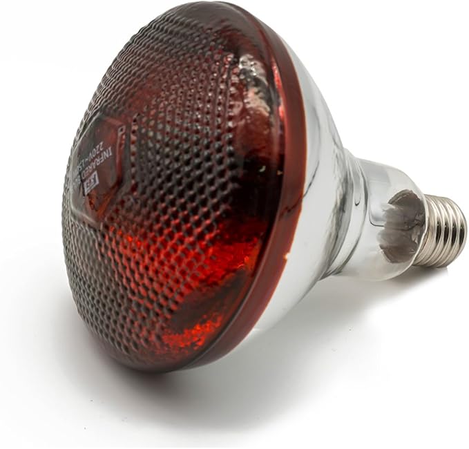 Infrared Heat Lamp Waterproof Anti-Explosion Light Bulb for Piglet Chicken Duck Birds(250w,120v)