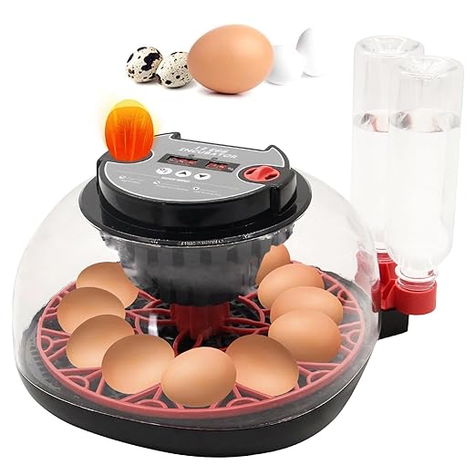 12 Egg Incubator with Humidity Display, Egg Incubator with Automatic Egg Turning and Automatic Water Bottle Refill, Chicken Incubators for Hatching Eggs, Duck Egg Quail Incubator