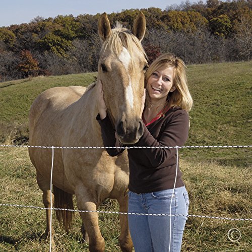 Premier 1 Horse QuikFence® Electric Netting | White/Black Double Spike – 48"H x 50'L