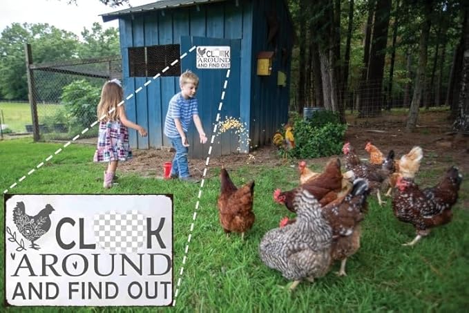 "Funny Chicken Warning Sign - Tin Sign for Farmhouse, Kitchen, Garden, Bar or Pub Decor - 8x12 Inch"