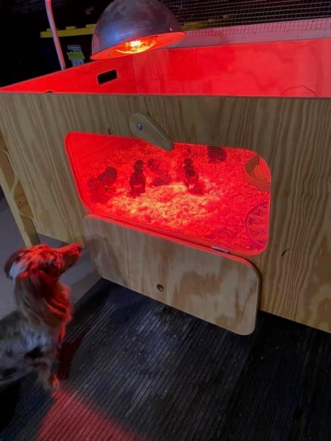 Ben's E-Z Brooder