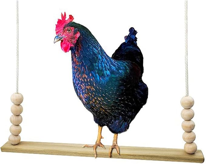 Bird Swing Wooden Hanging Chicken Swing Stand Suspension Bridge Budgie Climb Chew Toys Roosting Bar Coop Brooder Entertainment Toys Birdcage Accessories